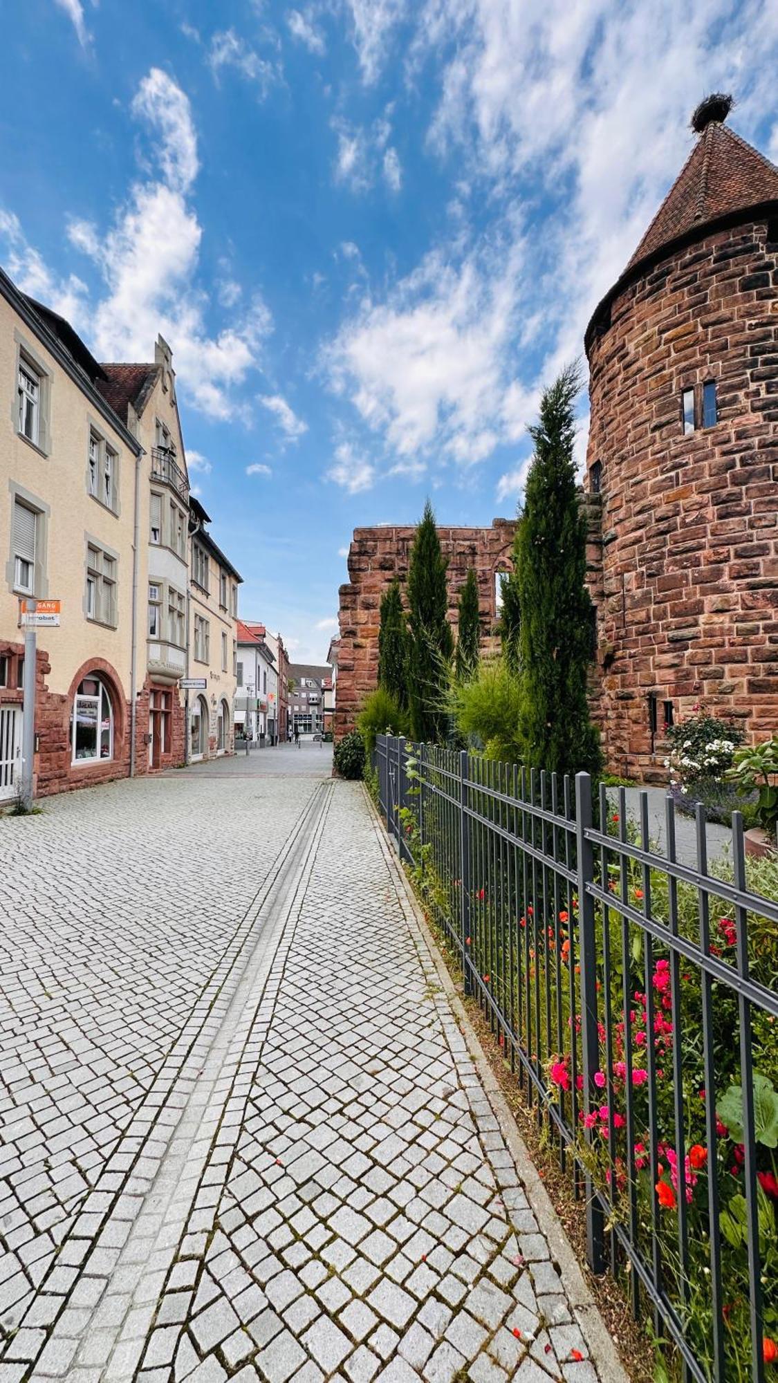 Amao-Brown I Exklusives City-Apartment I 85Qm I Privatparkplatz & Komfort I King-Size Bed Lahr (Baden-Wurttemberg) Exterior foto